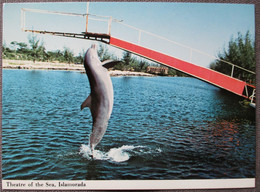 USA UNITED STATES FLORIDA ISLA MORADA DOLPHIN THEATRE CARD KARTE ANSICHTSKARTE CARTOLINA POSTCARD PC CP AK CARTE POSTALE - Lake George