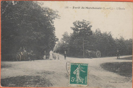 D41 - MARCHENOIR - FORÊT DE MARCHENOIR - L'ÉTOILE - Plusieurs Personnes Et Enfants - Calèches - Chevaux - Marchenoir