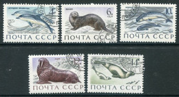 SOVIET UNION 1971 Marine Mammals Used.  Michel 3913-17 - Gebruikt