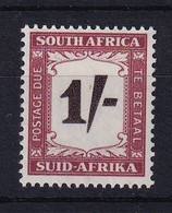 South Africa: 1950/58   Postage Due    SG D44    1/-    MH - Timbres-taxe