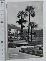 I121736 Cartolina Svizzera - Locarno - Lago Maggiore - Hotel La Palma - VG 1955 - Locarno