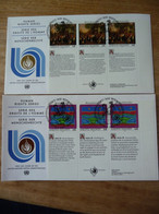 (7) UNITED NATIONS -ONU - NAZIONI UNITE - NATIONS UNIES *  2FDC 1993 * Droits De L'homme Art Painting - Brieven En Documenten