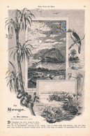 1303 Franz Jüttner Max Schwarze Am Kongo Afrika Artikel / Bilder 1890 !! - Politik & Zeitgeschichte