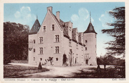 VIVONNE CHATEAU DE LA PLANCHE COTE SUD-EST TBE - Vivonne