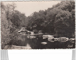 ENVIRONS DE BUSSIERE POITEVINE SUR LA BRAME LE SAUT DE BRAME 1958 CPSM 9X14 TBE - Bussiere Poitevine