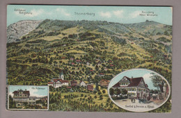 CH SZ Steinerberg 1910-08-15 Chromlitho G.Metz - Steinerberg