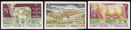 Saint Pierre Et Miquelon Non Dentelés N°407 /409 Elevage 3 Valeurs Qualité:** - Ongetande, Proeven & Plaatfouten