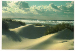 - 62 - ENTRE WISSANT & LE CAP BLANC-NEZ (Pas-de-Calais) - Le Plus Beau Site Du Littoral. - Scan Verso - - Wissant