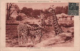 CPA - Paris Exposition Coloniale Internationale 1931 Parc Zoologique Les Girafes - Zoo - Girafes