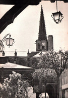 MIREPOIX La Cathédrale Depuis Les Couverts (Massat Photographe éditeur)    (Recto-verso) 09 - Mirepoix