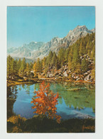 ALPE  DEVERO (NO):  LAGO  DELLE  STREGHE  -  PER  LA  SVIZZERA  -  FG - Watertorens & Windturbines