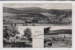 5948 SCHMALLENBERG, Mehrbild - AK, 1961 - Schmallenberg