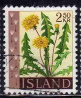 ISLANDA ICELAND ISLANDE 1960 1962 FLORA FLOWERS PLANTS DANDELION 2.50k USED USATO OBLITERE' - Gebruikt