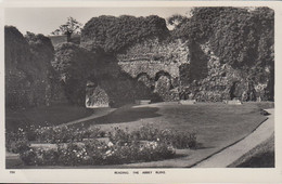 UK - Reading - The Abbey Ruins - Reading