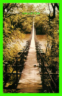 SOURIS, MANITOBA - SUSPENSION BRIDGE, BUILT IN 1904 - SPECTROME COLOR - - Sonstige & Ohne Zuordnung