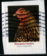 VEREINIGTE STAATEN ETATS UNIS USA 2021 HERITAGE BREEDS: WYANDOTTE CHICKEN F USED ON PAPER SC 5584 MI 5817 YT 5426 - Oblitérés