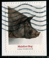 VEREINIGTE STAATEN ETATS UNIS USA 2021 HERITAGE BREEDS: MULEFOOT HOG F USED ON PAPER SC 5583 MI 5816 YT 5425 - Oblitérés