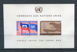 Haïti ** Bloc N° 10 - 'Hommage Aux Nations Unies - Hawai