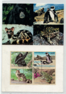 Nations Unies Vienne -  "Espèces Menacées D'extinction" - Carré Oblitéré N° 370 à 373 Sur Carte Postale De 2002 - Covers & Documents