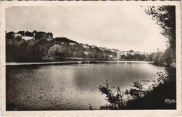 CPA PONT-du-CHATEAU Vue Generale Sur L'Allier (1252616) - Pont Du Chateau