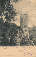 FLOREFFE  LA TOUR DU CHATEAU DES GROTTES   2 SCANS - Floreffe