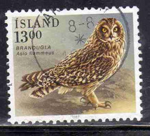 ISLANDA ICELAND ISLANDE ISLAND 1987 BIRD FAUNA BIRDS ASIO FLAMMEUS 13.00k USED USATO OBLITERE' - Oblitérés