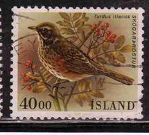 ISLANDA ICELAND ISLANDE ISLAND 1987 BIRD FAUNA BIRDS TURDU ILIACUS 40.00k USED USATO OBLITERE' - Oblitérés