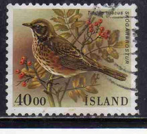 ISLANDA ICELAND ISLANDE ISLAND 1987 BIRD FAUNA BIRDS TURDU ILIACUS 40.00k USED USATO OBLITERE' - Oblitérés