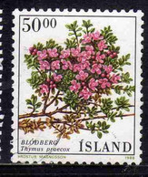 ISLANDA ICELAND ISLANDE ISLAND 1988 FLORA FLOWERS THYMUS PRAECOX FLOWER 50.00k USED USATO OBLITERE' - Oblitérés