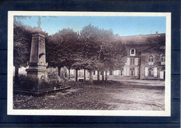 70. Vauvillers. Le Château Et Le Monument - Vauvillers