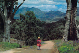 Flinders Ranges - La Magnifique Chaîne De Flinders - Flinders Ranges