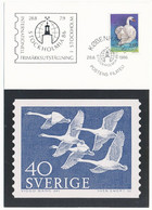 Mi 874 Phil. Exhibition Postcard Stockholmia / Swan, Cygnus Olor - 28 August 1986 - Lettres & Documents