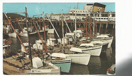 56394 ) Canada Post Card  Digby Scallop Fleet  Ottawa Postmark 1969 - Altri & Non Classificati