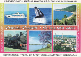 Australia, Queensland (QLD) > Coral Coast, Whale, Used - Otros & Sin Clasificación