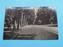 The AVENUE, Southampton ( Edit. : ? ) Anno 19?? ( See / Voir Scan ) ! - Southampton