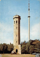 Dannenfels Donnersberg Gipfel Ludwigturm VW Käfer (2349) - Kirchheimbolanden