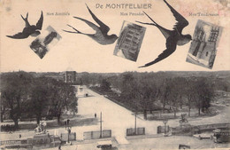 CPA - DE MONTPELLIER - Mes Amitiés Mes Pensées Mes Tendresses - Souvenir De...