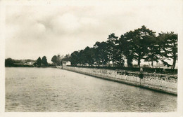 YVELINES  TRAPPES  étang De Saint Quentin - Trappes