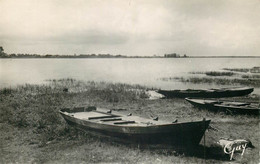 YVELINES  TRAPPES  étang De Saint Quentin - Trappes