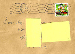 LUXEMBOURG - 2022 Lettera Per L'Italia Con Francobollo Singolo 2018 Frutta Prugne Emesso Solo In Carnet - 17235 - Lettres & Documents