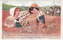CPA Illustrateur Right - Recolte Agriculture - Potasse D'alsace - Pomme De Terre - Sels De Potasse D'alsace - Right