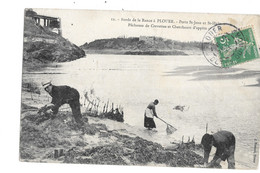 PLOUER SUR RANCE Pêcheuses De Crevettes - Plouër-sur-Rance