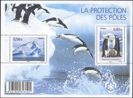 France 2009  MiNr.(Block 105) Frankreich Polar Regions And Glaciers, Birds , Emperor Penguin  S/SH  MNH ** 3.00 € - Behoud Van De Poolgebieden En Gletsjers