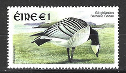 IRLANDE. N°1406 De 2002. Bernache. - Geese