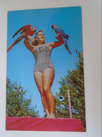 D190774    US -  LAKE GEORGE -  Adiron Dacks - Animal Land - Parrots,   Swimsuit Woman - Lake George