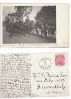 Lochristi  FOTOKAART  Herinnering Van Het Feest: Vredeswagen Verheerlijking Van België  BEVRIJDINGSFEESTEN  1920 - Lochristi