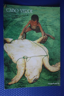 Cape Verde - CABO VERDE - Santiago Island - Turtle - Rare! - Turtles