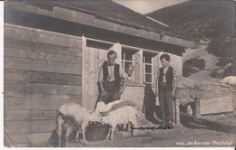 Suisse - C -  Appenzell - Im Kenner (hochalp) Urnasch Ziege Chevre Goat Chalet - Appenzell