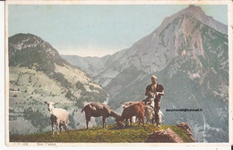 Suisse - Vaud - Ballaigues - Auf Der Alp - Sur L'alpe Colorisée- Chevrier Et Ses Chèvres  Ziegen Chevres Goat - Ballaigues