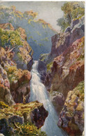 WIMBUSH, HENRY - TUCKS 7685 - THE FALLS OF FOYERS - Wimbush